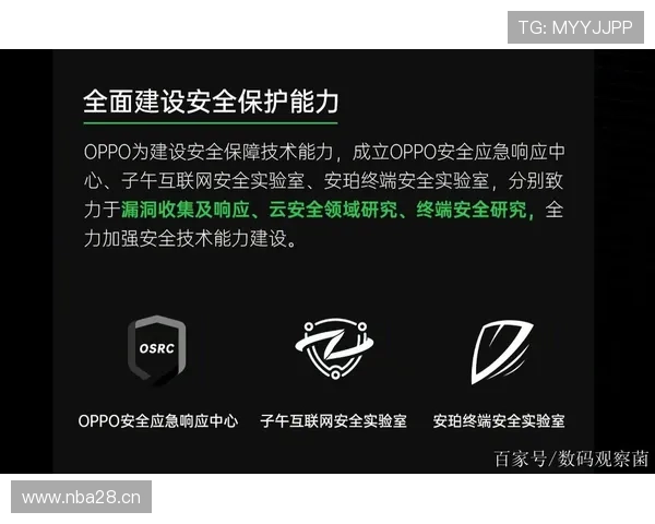 乐动体育网址安全登录技巧，保障您的账户信息安全与隐私保护